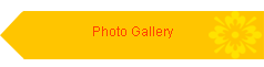 Photo Gallery